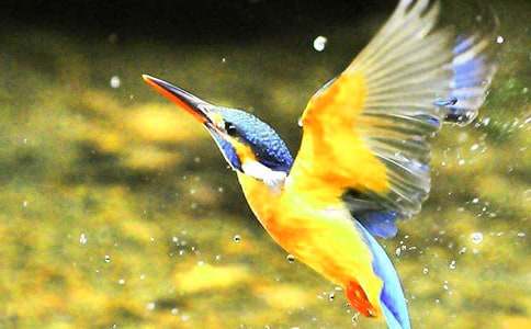 �����B���̲Ľ��x