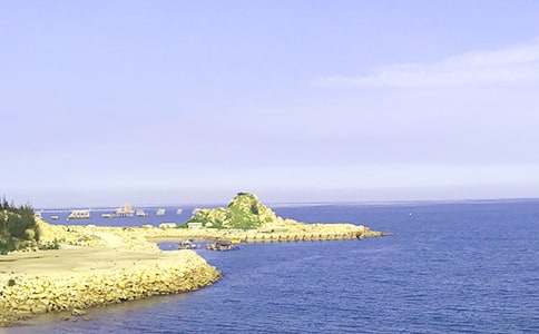 �茑�󺣵ă�(y��u)������