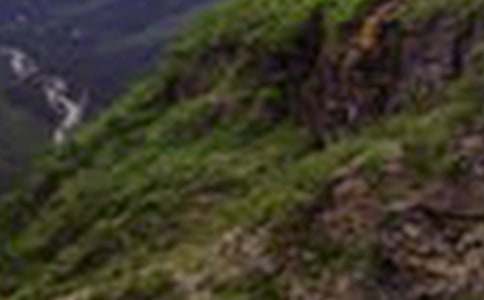 �Ĵ�ɽ��T�������Ĺ�܊