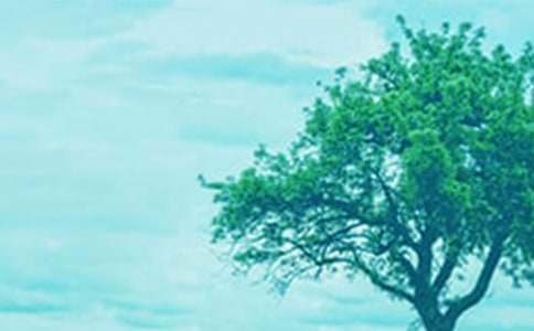 С�ݺʹ���x���