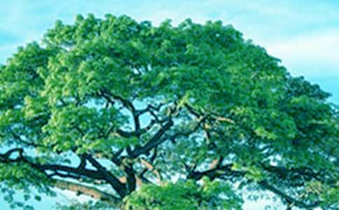 С���c���Č�(du��)Ԓ�x���(��(j��ng)��)