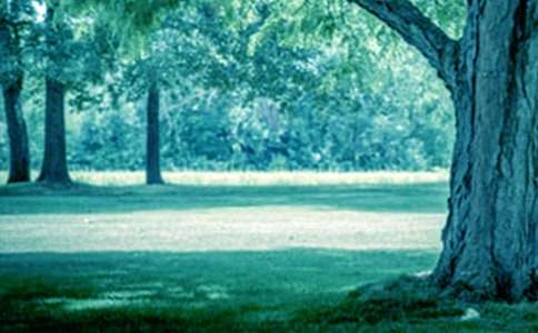 �xС�ݺʹ���и�600��