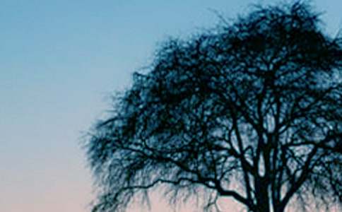 ���Ĺ��½̌W(xu��)��˼ ����12ƪ