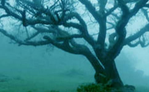 ��С���c���(sh��)�Č�(du��)Ԓ(hu��)���̌W(xu��)�O(sh��)Ӌ(j��)