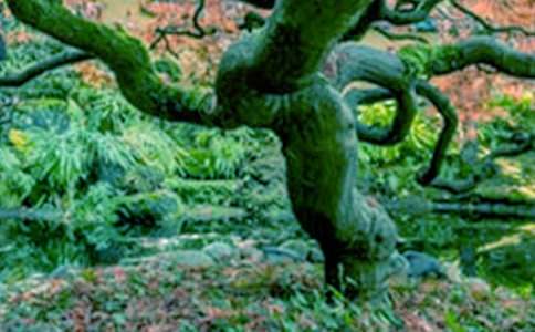 ��С���c���Č�Ԓ���Ľ̌W(xu��)�O(sh��)Ӌ