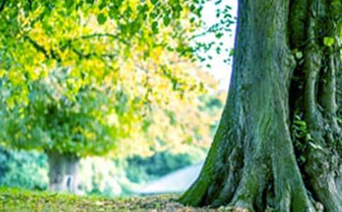 �x��С�ݺʹ�䡷�и�