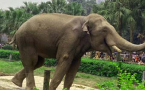 �L������̰�