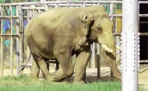 ����������桷�����и�