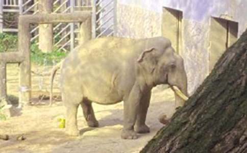 ��������ۜI���x���7ƪ����(sh��)�ã�