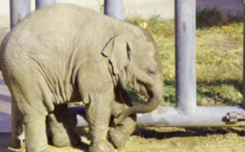 ��(d��ng)��һ�ش���