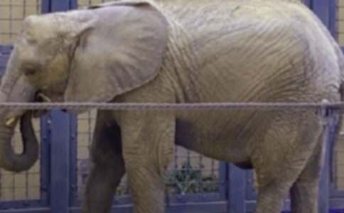 ����(y��u)���Ǻʹ�������