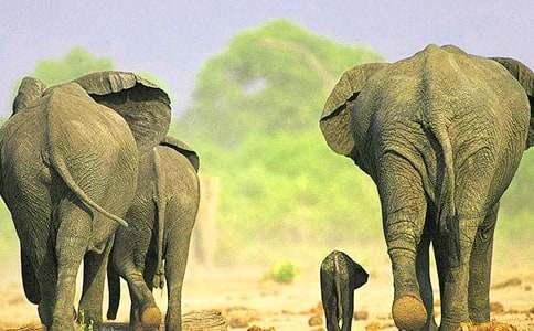 ���꼉(j��)���������\����ƪ