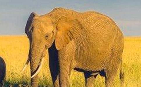 �����k����