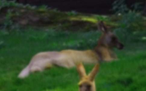 �������������ܵĴ���