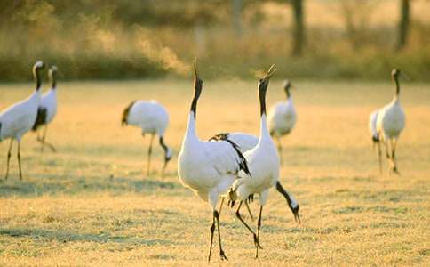 �������ĵ���Q���̌W(xu��)��(sh��)䛷���