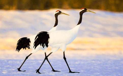 �������ĵ���Q���̌W(xu��)�O(sh��)Ӌ(j��)