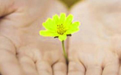 ���ܺ��Ǹ��