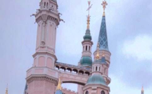 �P(gu��n)���Ϻ���ʿ�������