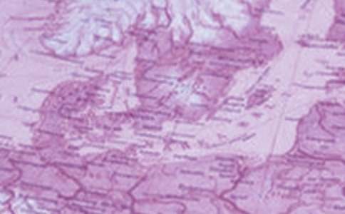 2020 (t��ng)���е��탞(y��u)�|(zh��)�n�R��(b��o)�n�ĵ��w��(hu��)����