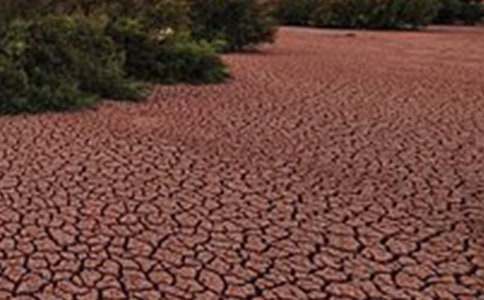 �������������� 