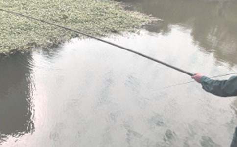 ���D��Ԓ��~������