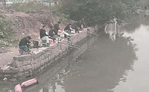 �����~(y��)-����