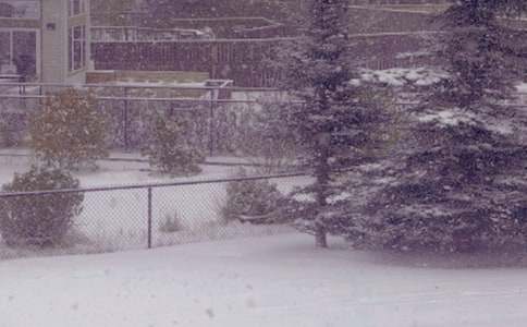 ����ů�(y��ng)�y�Ә������İ�