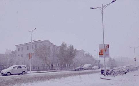 ����ѩ������