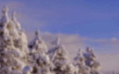 ��(j��)�ϵĶ����x���(��(y��u)�x15ƪ)