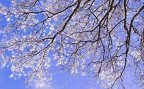 ������������ô�k