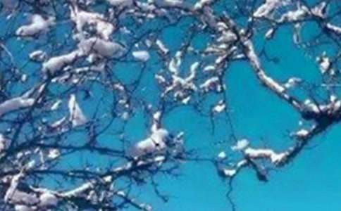 ������R����