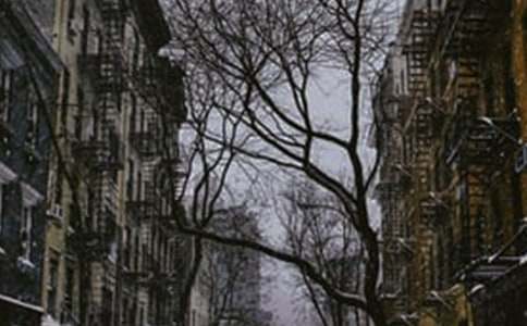 �����ѩ������