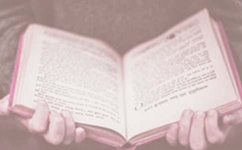 �����x���ջ��