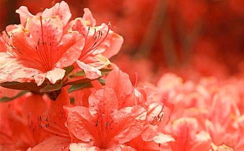 �^����N������