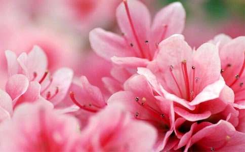 �ؑc�ϴ����ɽ���N����(ji��)���ι������ι���