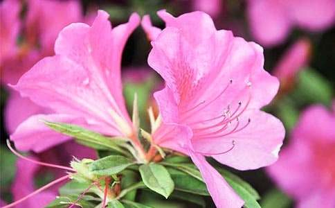 ���N�����ġ����x��