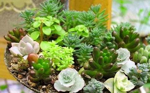 (��(y��u)�x)���������15ƪ