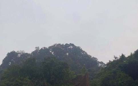 ��üɽ��Ԕ��(x��)���ι���