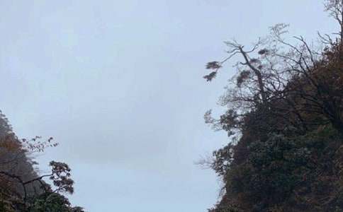 [��]�ζ�üɽ����