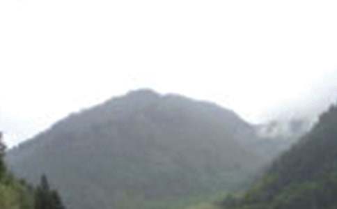 �ζ�üɽ����[�]]