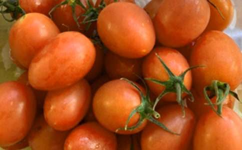 �P(gu��n)�ڷ���ɳ˾������