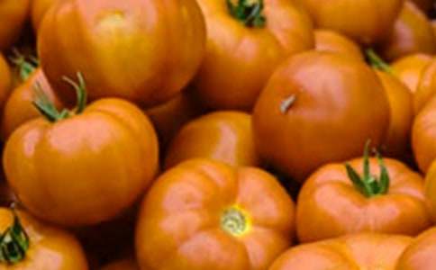 �����J�Z���ѵ�����