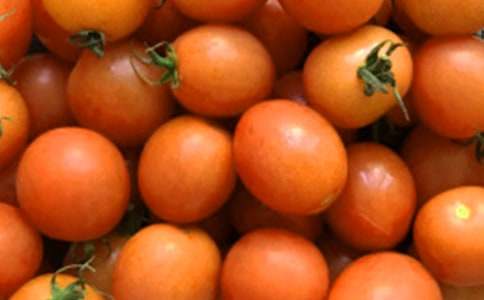 �����u�A�������