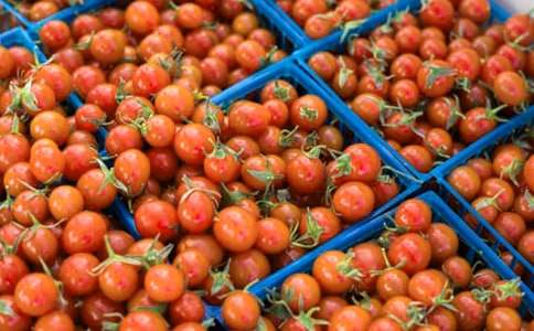 �u������̫ꖡ�