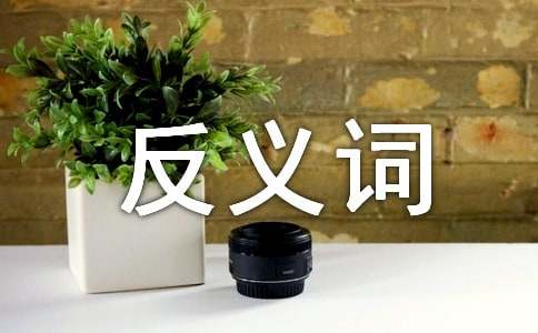 ����ķ��x�~