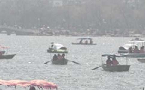 �ƺ���������2ƪ�����ã�