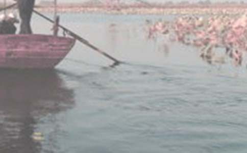 �ƺ��������Ĺ�2ƪ