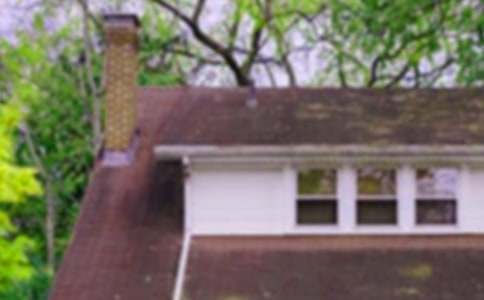 ������Ո������