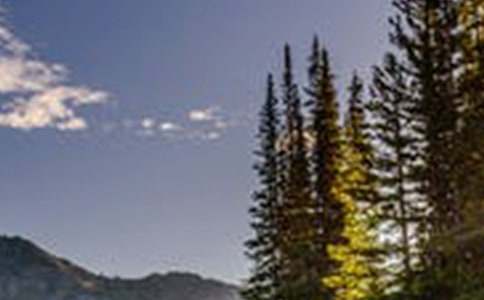 �茑���������L(f��ng)�����ķ���