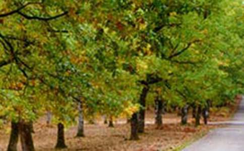 ���x�����������������L(f��ng)��